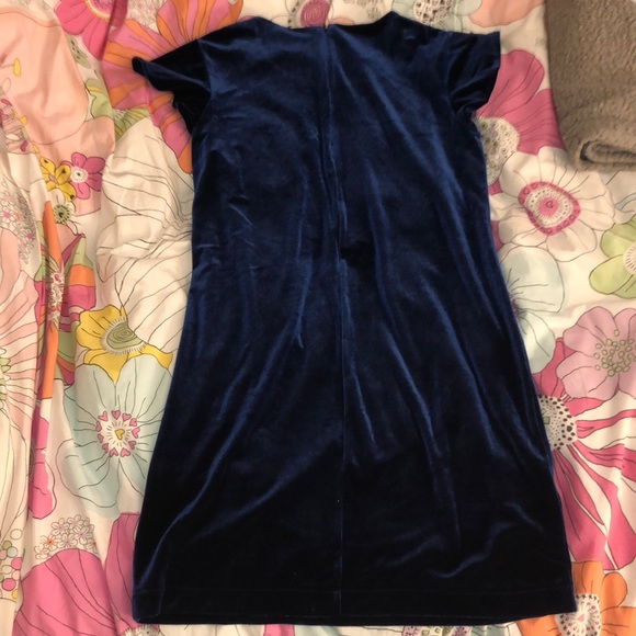 Blue Velvet Dress - Picture 5 of 5